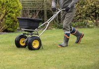 райграс цена - 6249 снимки