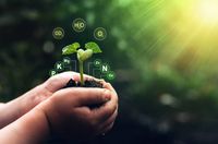 семена за трева - 87138 отстъпки