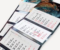 луксозни кутии - 62930 разновидности