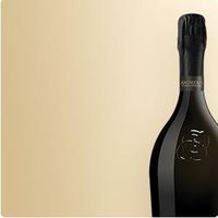 Шардоне - 41724 разновидности