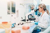 стволови клетки - 45595 награди