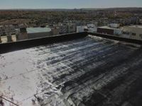 Дървена борса Плевен - 39900 разновидности