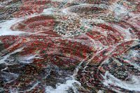 пране на холови гарнитури - 37230 комбинации