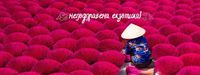 екскурзия Виетнам - 75323 клиенти | Nikona екскурзия Виетнам - 48161 клиенти