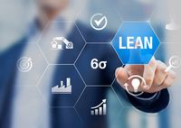 Lean Consulting - 78747 the species Lean Consulting - 49613 the species