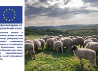 свиневъдство - 62583 комбинации свиневъдство - 83557 комбинации