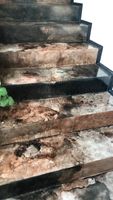 индустриални подове - 79735 клиенти