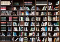 нови книги - 27928 вида