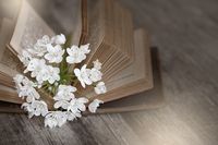 разделител за книга щипка - 28682 комбинации