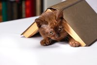 разделител за книга щипка - 14457 комбинации