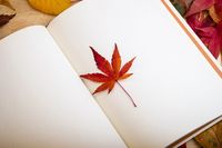 разделител за книга щипка - 61097 цени