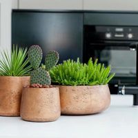 градински столове - 28841 клиенти градински столове - 63146 клиенти