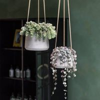 керамични саксии - 73265 вида