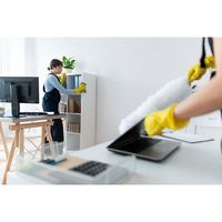 миене на прозорци - 58705 разновидности