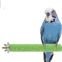 Хранилки за папагали - 27083 вида | Parrots Paradise Хранилки за папагали - 31288 вида