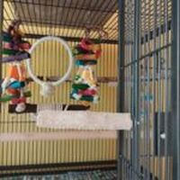 Хранилки за папагали - 68480 оферти Хранилки за папагали - 46952 оферти