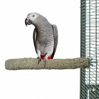 папагал ара - 43915 селекции | Parrots Paradise папагал ара - 38873 селекции