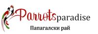 Раница за папагал - 88440 оферти