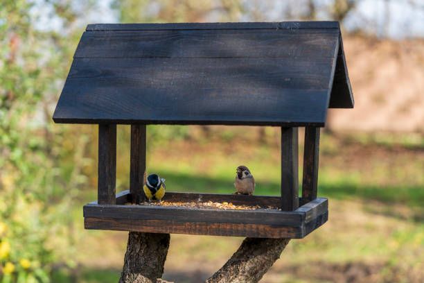 храна за птици на едро - 22942 цени