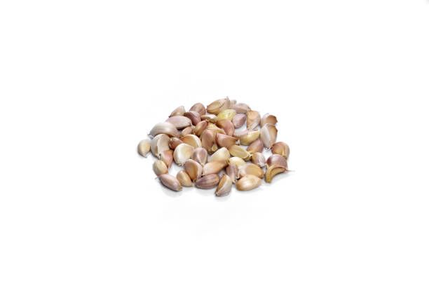 Семена за папагали - 26763 бестселъри Семена за папагали - 91649 бестселъри