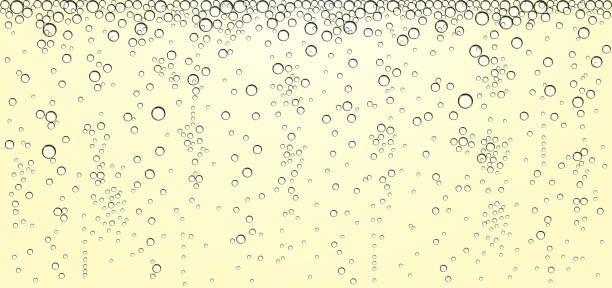 просеко валдобиадене - 53511 селекции