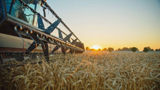 фермерство - 58110 постижения | agrovest.bg фермерство - 86817 постижения