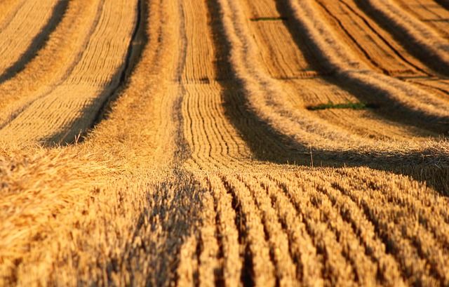 агро новини - 2076 новини | agrovest.bg агро новини - 53246 новини