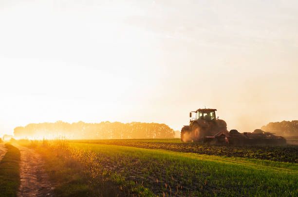 ДФЗ - 60199 постижения | agrovest.bg ДФЗ - 28923 постижения