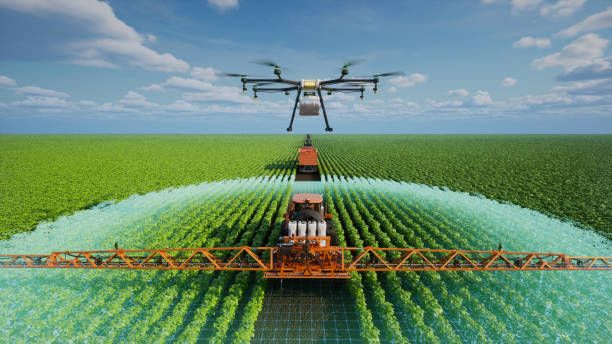 ДФЗ - 82408 селекции | agrovest.bg ДФЗ - 31149 селекции