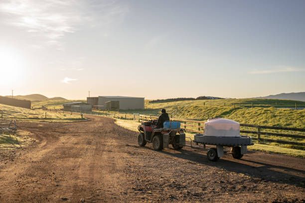 селско стопанство - 47480 цени селско стопанство - 64791 цени