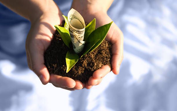 субсидии - 9863 постижения | agrovest.bg субсидии - 95514 постижения