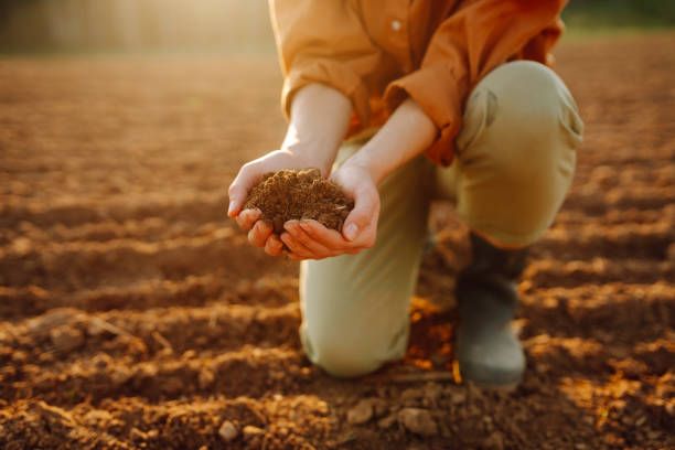 земеделие - 69233 снимки земеделие - 10904 снимки