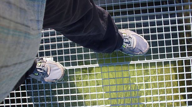 покривни пътеки - 86702 постижения