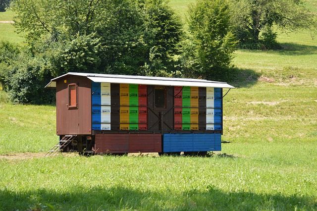 пчеларство - 95686 типа