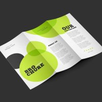 флаери - 58257 комбинации