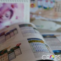 печат на календари - 65574 новини